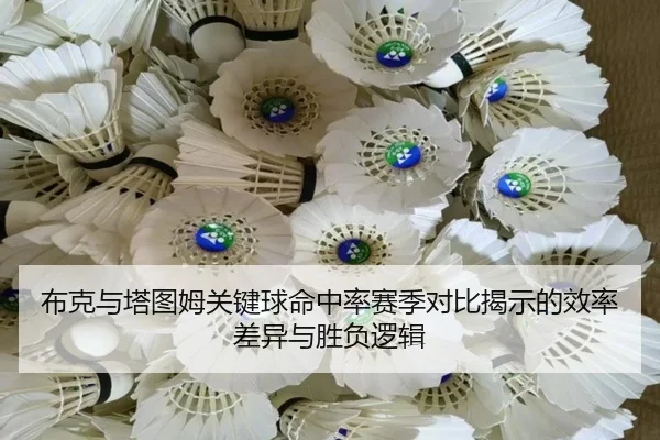 布克与塔图姆关键球命中率赛季对比揭示的效率差异与胜负逻辑